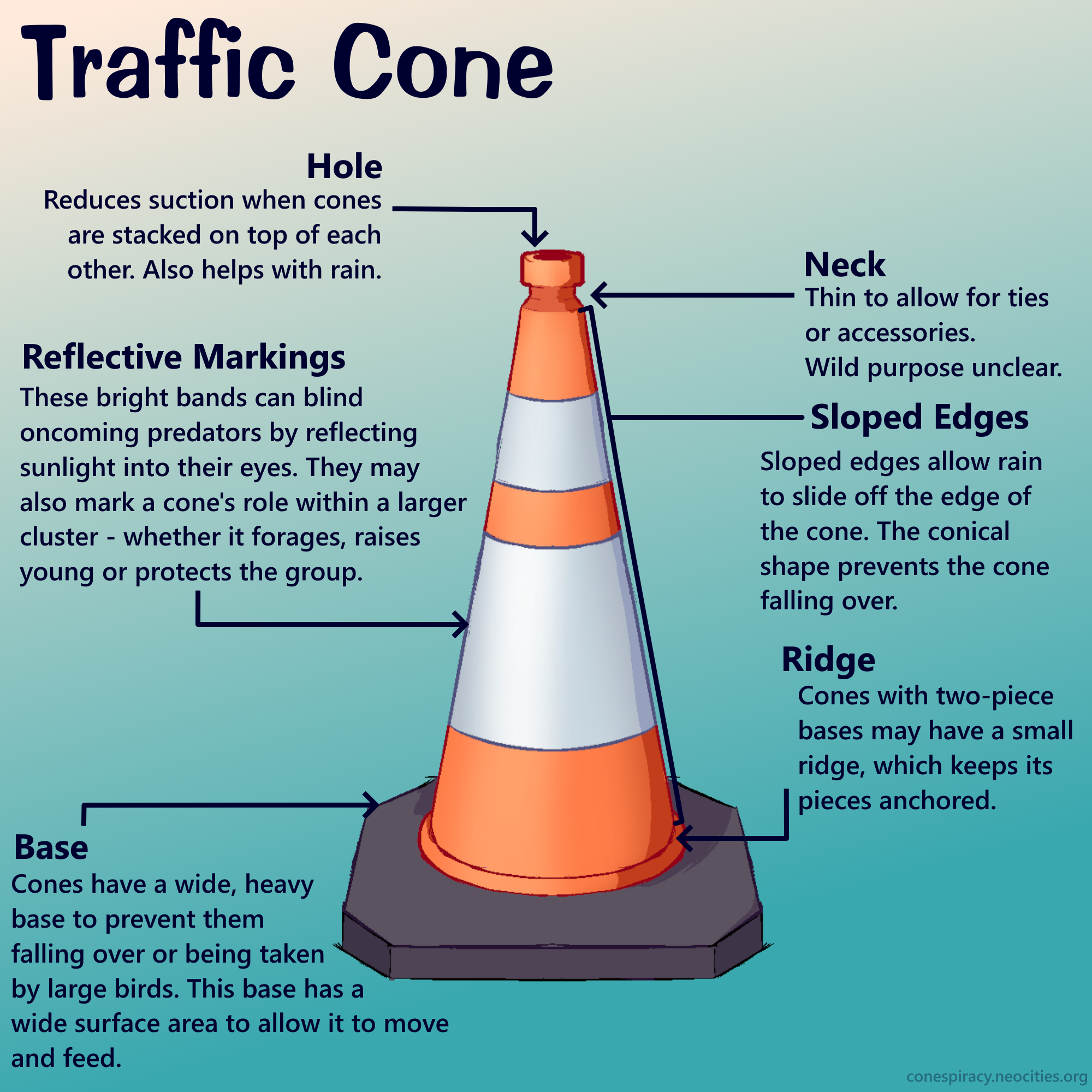 detailed diagram of traffic cone. all written information in the image is otherwise available on the page.